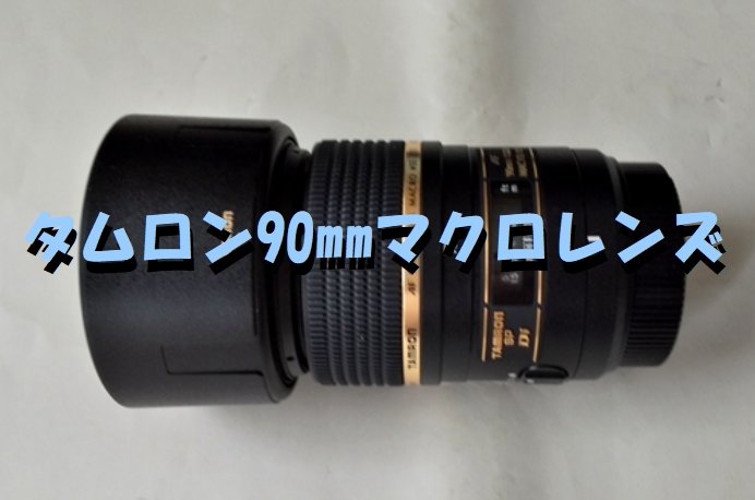 タムロン 90mm Nikon